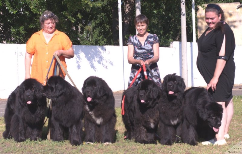 Фотография № 132039