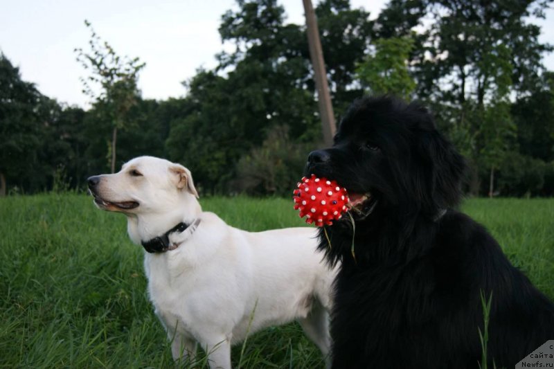 Фотография № 132056