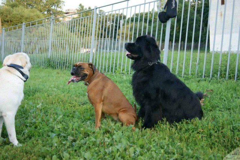 Фотография № 132057