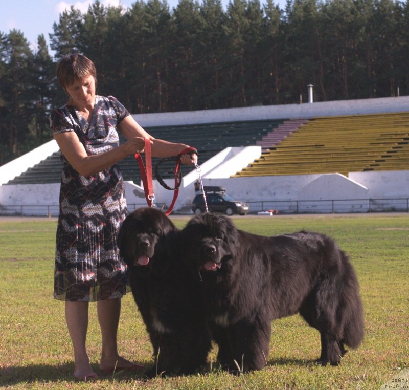 Фото: ньюфаундленд Blyek Diamond Agidel' ot Potapa Uvertyura (Блэк Диамонд Агидель от Потапа Увертюра), ньюфаундленд Black Diamond Agidel ot Potapa Patricia (Блэк Диамонд Агидель от Потапа Патриция), Alevtina Batyan (Алевтина Батян)