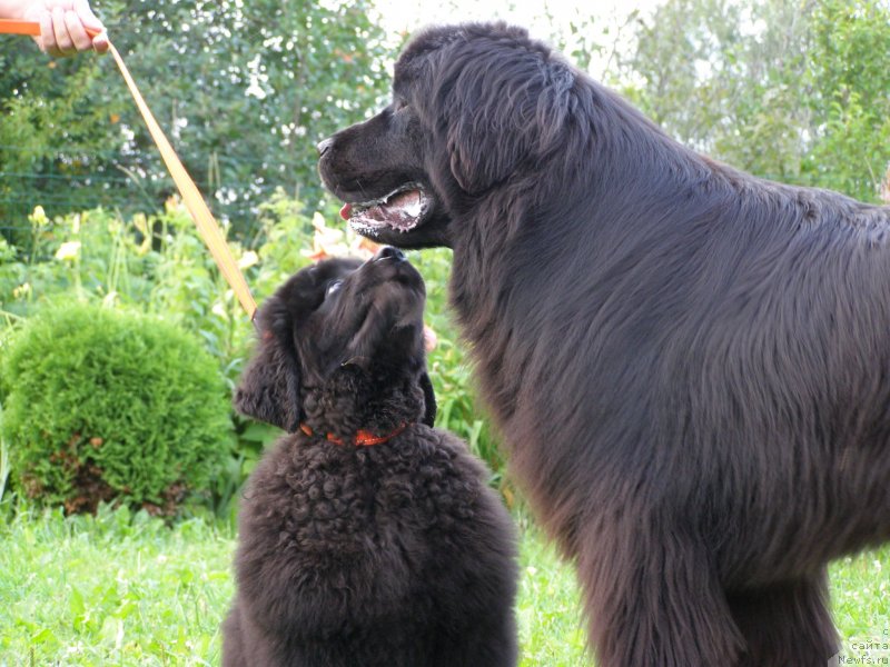 Фотография № 132067