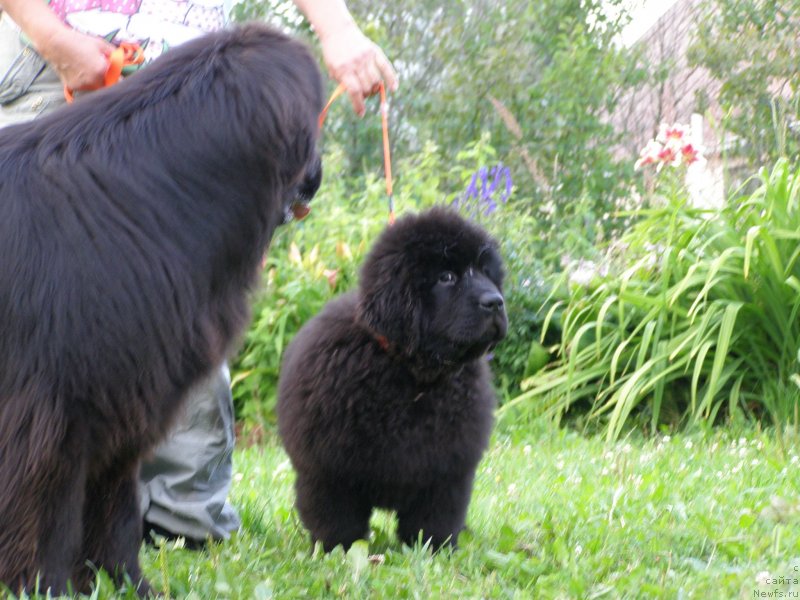 Фотография № 132068