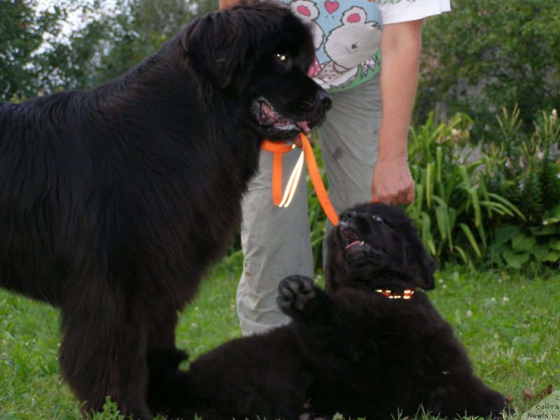 Фотография № 132070