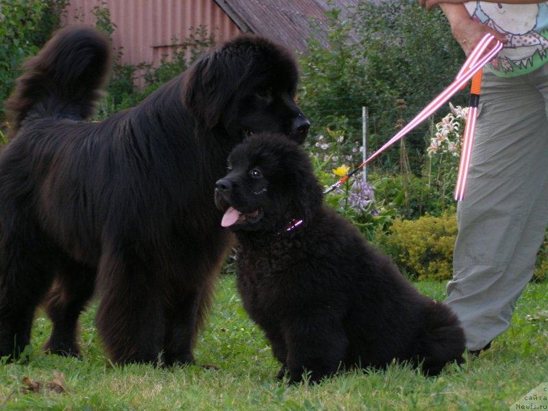 Фотография № 132071