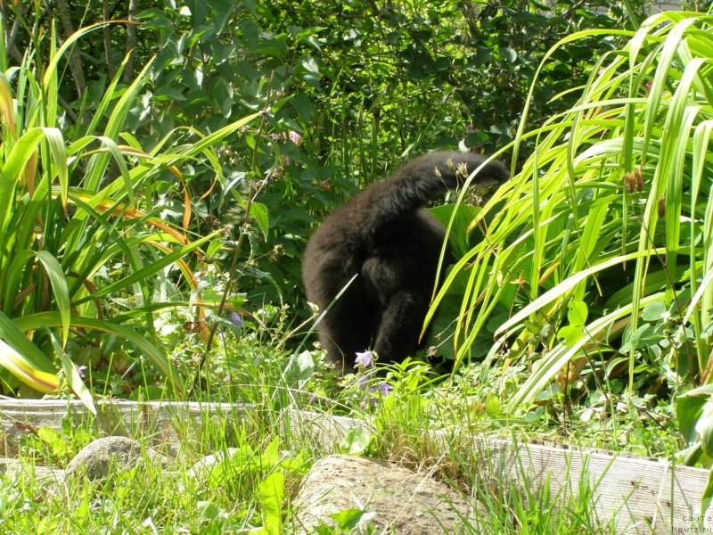 Фотография № 132076