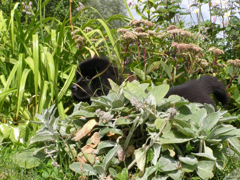 Фотография № 132077