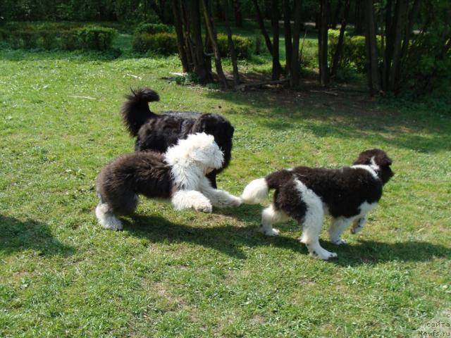 Фотография № 13208