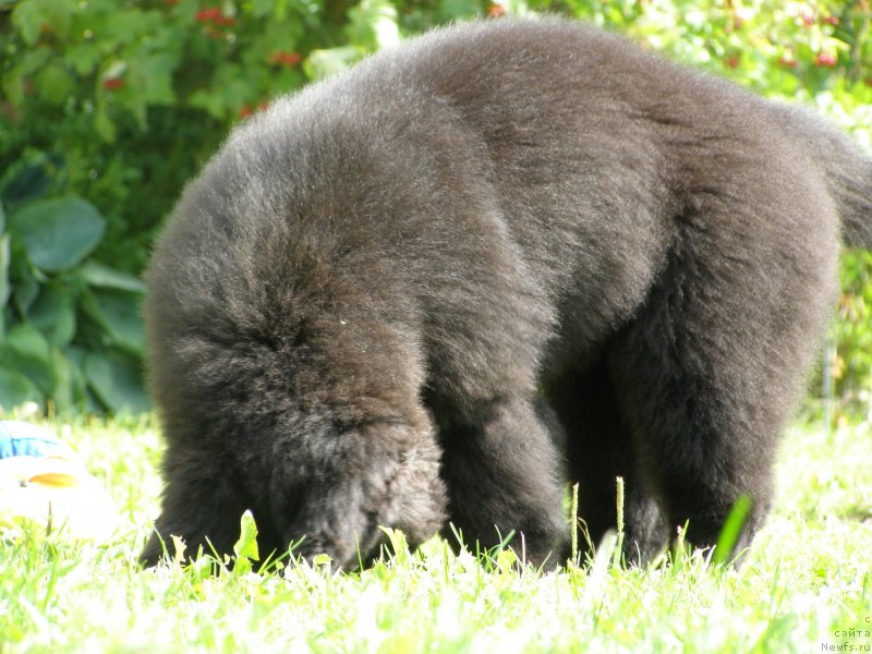 Фотография № 132090