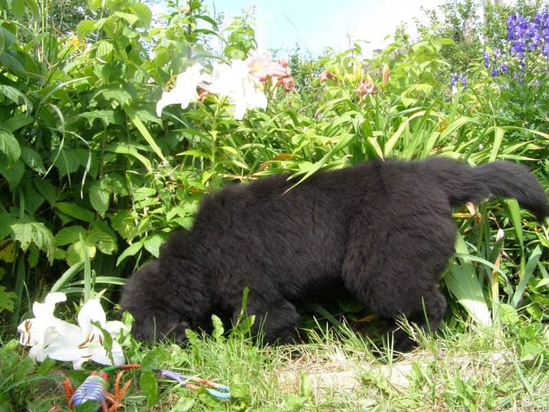 Фотография № 132091