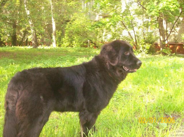 Фотография № 13211