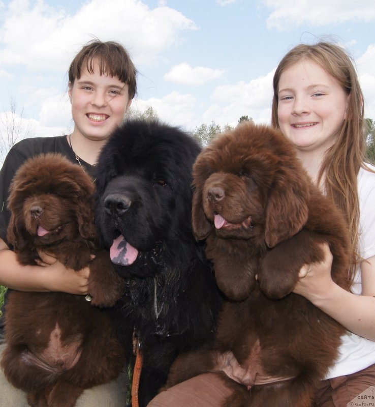 Фотография № 132112