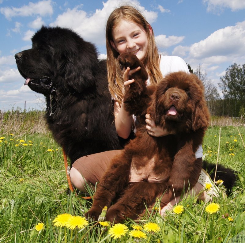 Фотография № 132113