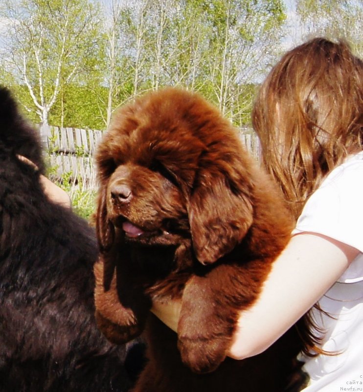 Фотография № 132114