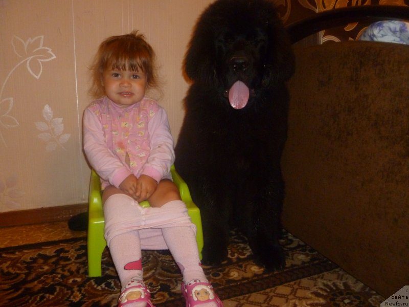 Фотография № 132131