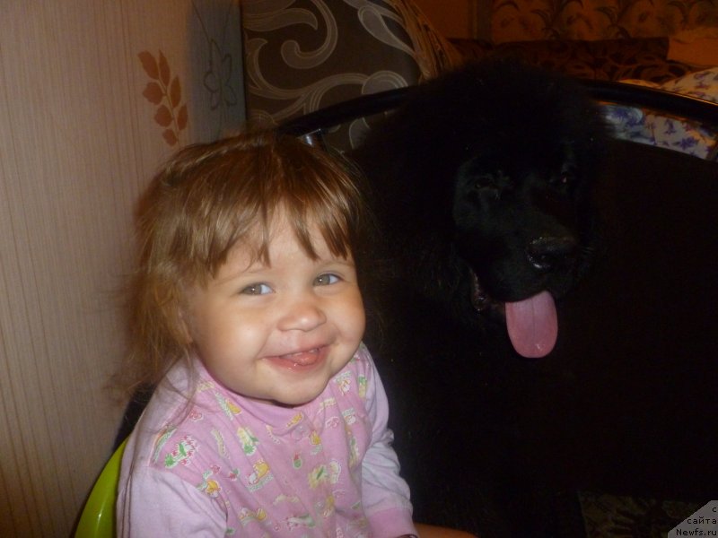 Фотография № 132132