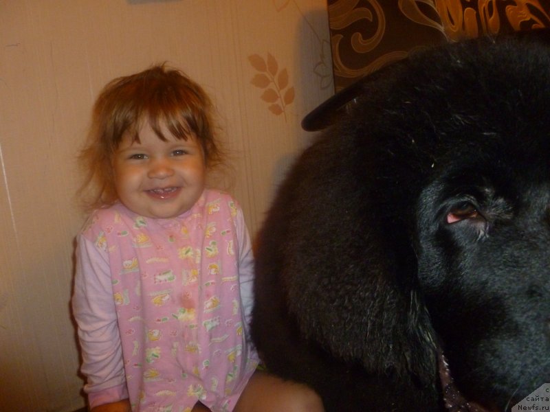 Фотография № 132133