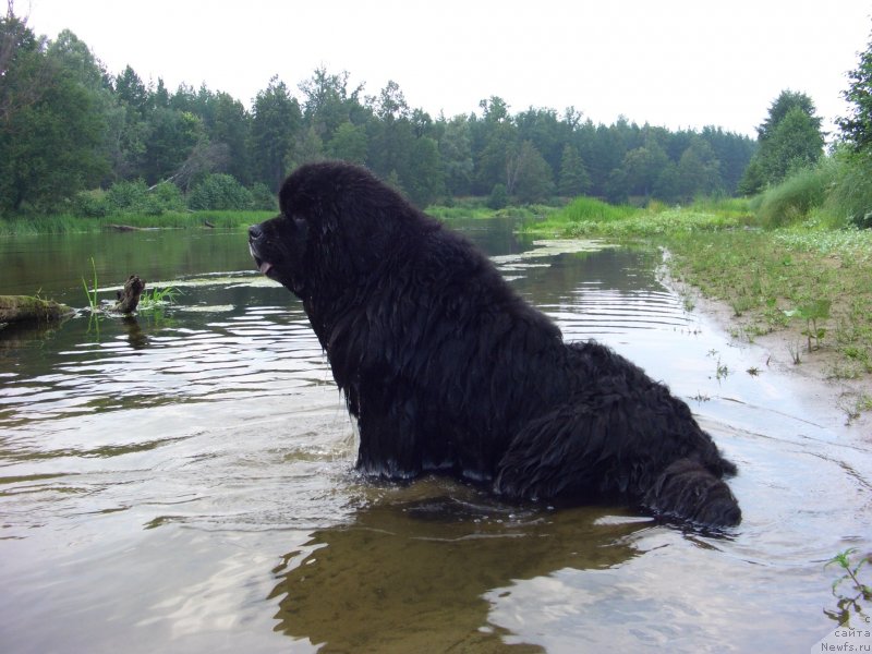 Фотография № 132167