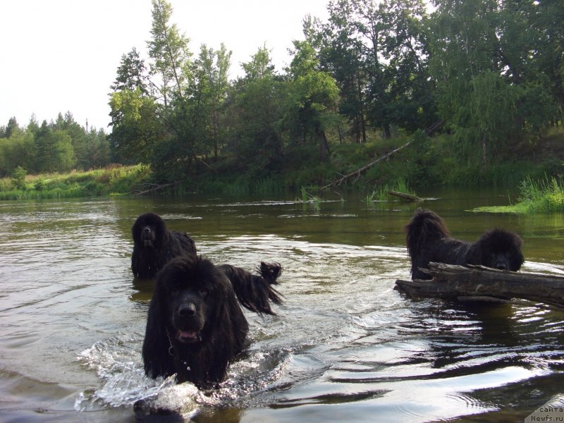 Фотография № 132169