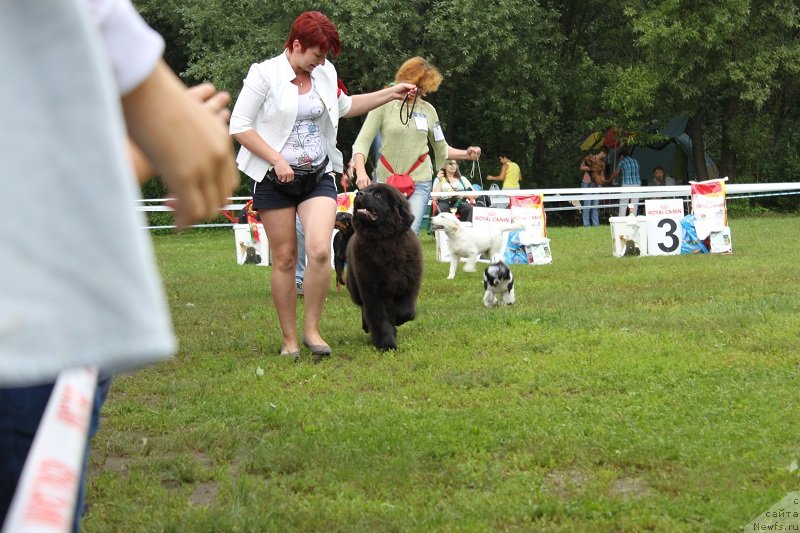 Фотография № 132214