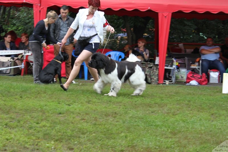 Фотография № 132215