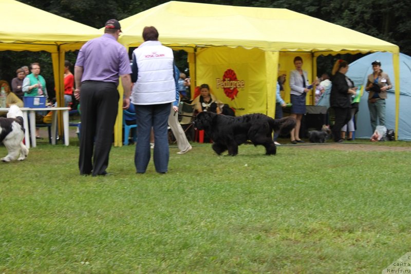 Фотография № 132219