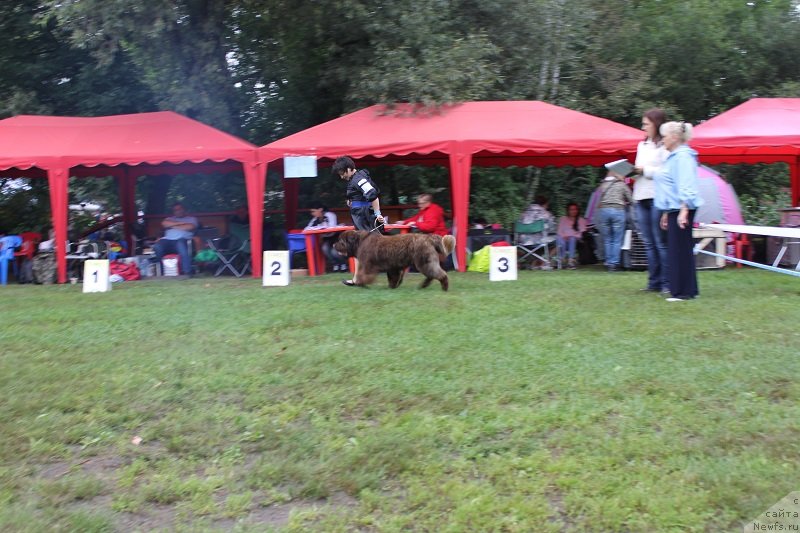 Фотография № 132220