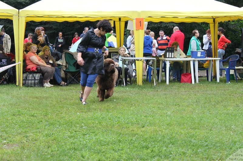 Фотография № 132221