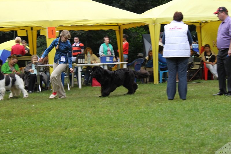 Фотография № 132225