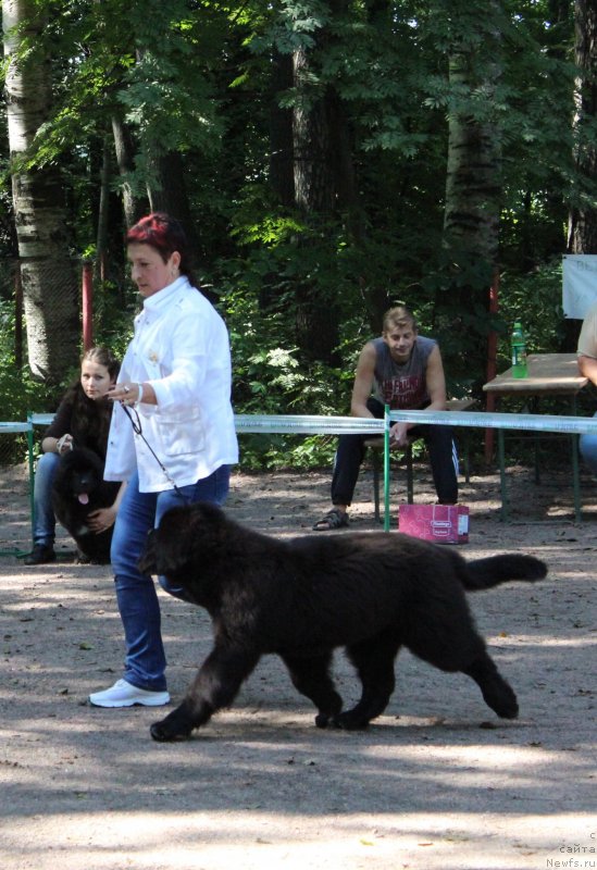 Фотография № 132233