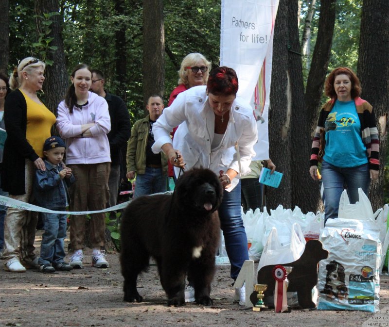 Фотография № 132235