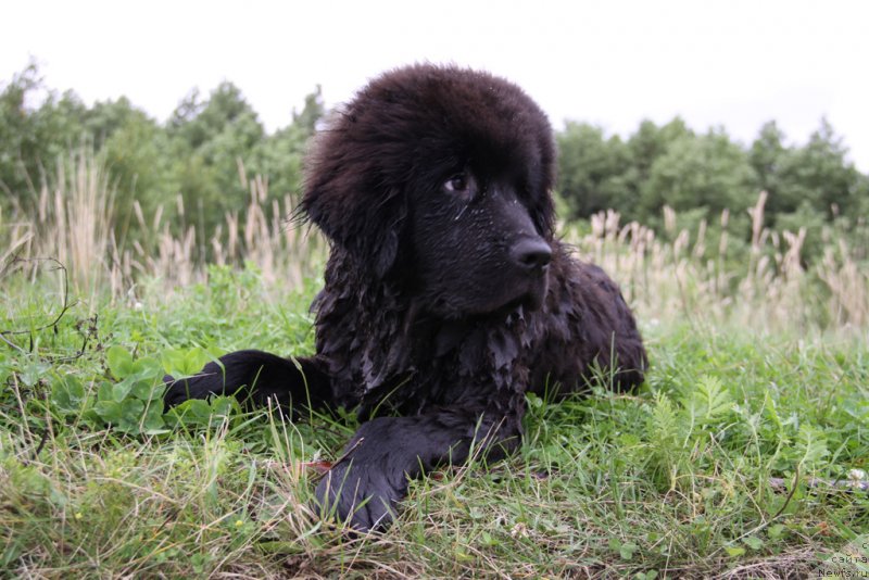 Фотография № 132244