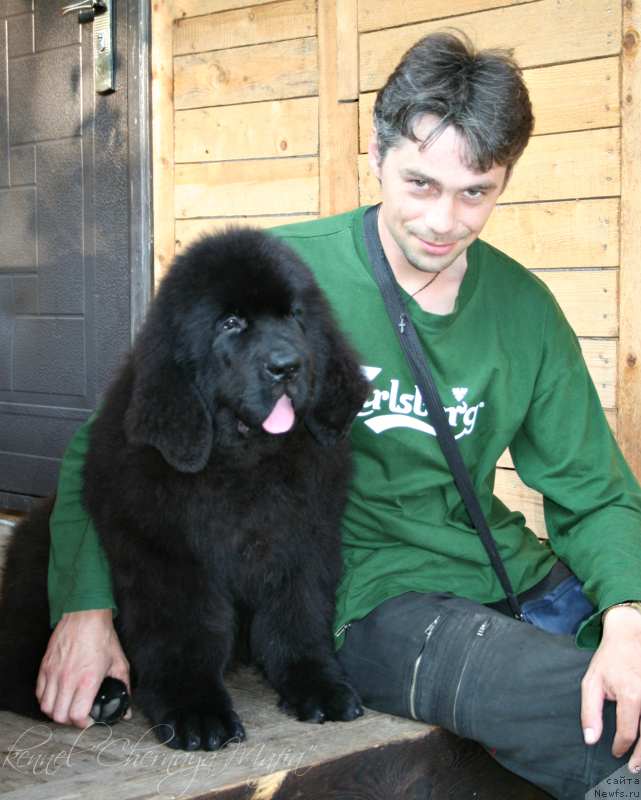 Фотография № 132255