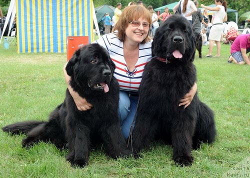 Фото: ньюфаундленд Topgallant's Aquarelle, Irina Nefedkina (Ирина Нефедкина), ньюфаундленд Topgallant's Brigadier