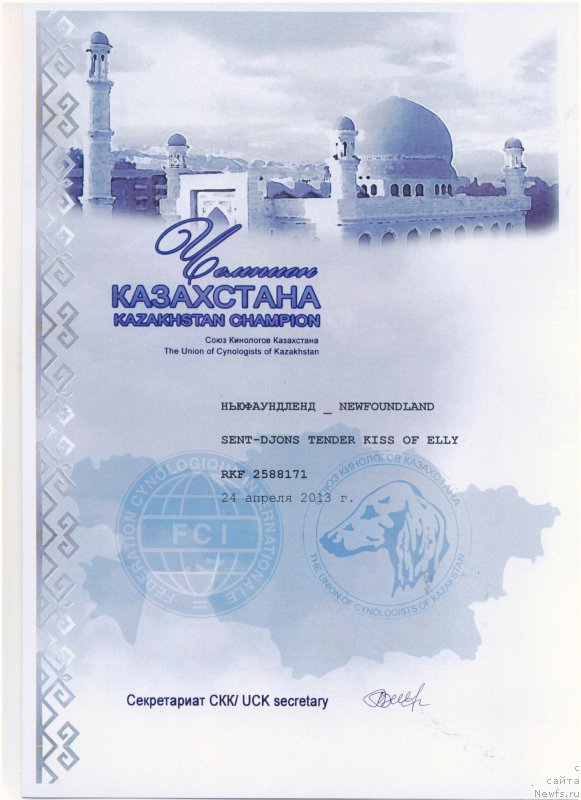 Фото: ньюфаундленд Sent Djons Tender Kiss of Elly (Сент Джонс Тендер Кисс оф Элли)