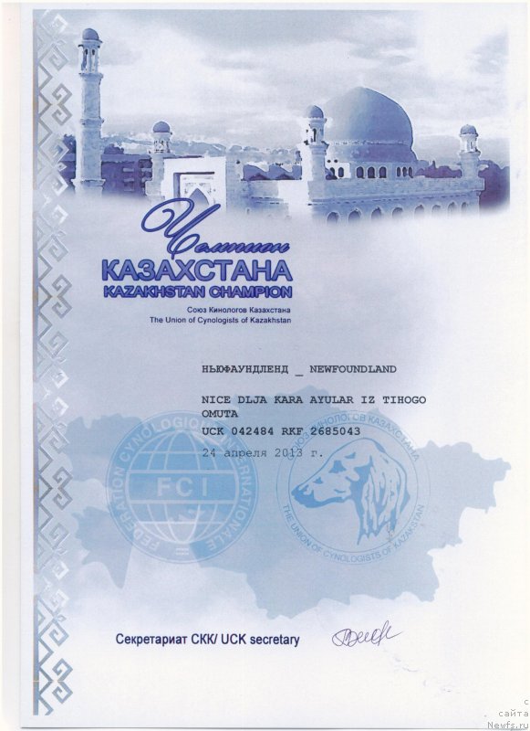 Фото: ньюфаундленд Nica Dlja Kara Ayular iz Tihogo Omuta (Ница для Кара Аюлар из Тихого Омута)