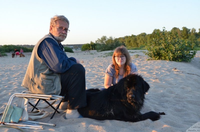 Фото: ньюфаундленд Bi Perfekt Arabella (Би Перфект Арабелла)