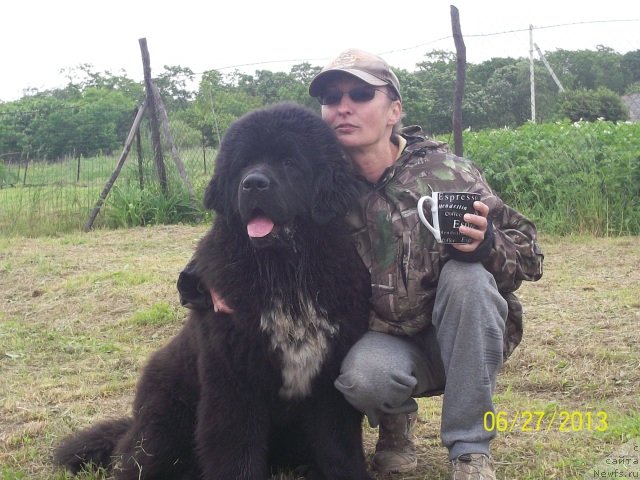 Фотография № 132346