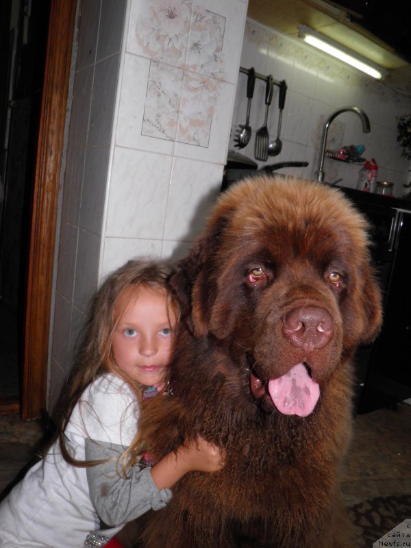 Фотография № 132348