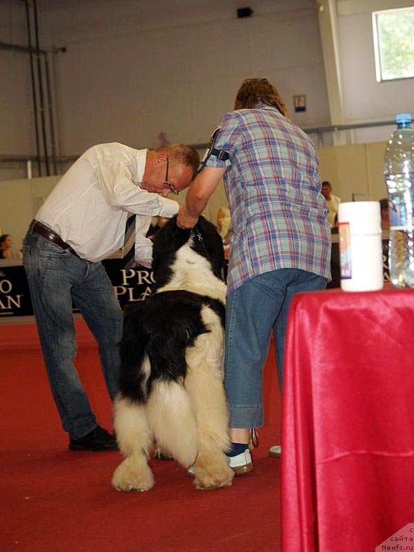 Фотография № 132356