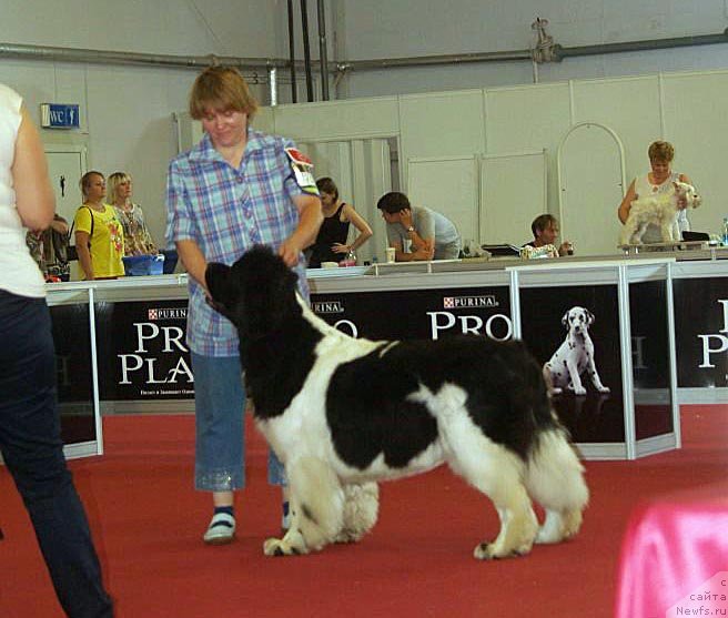 Фотография № 132357