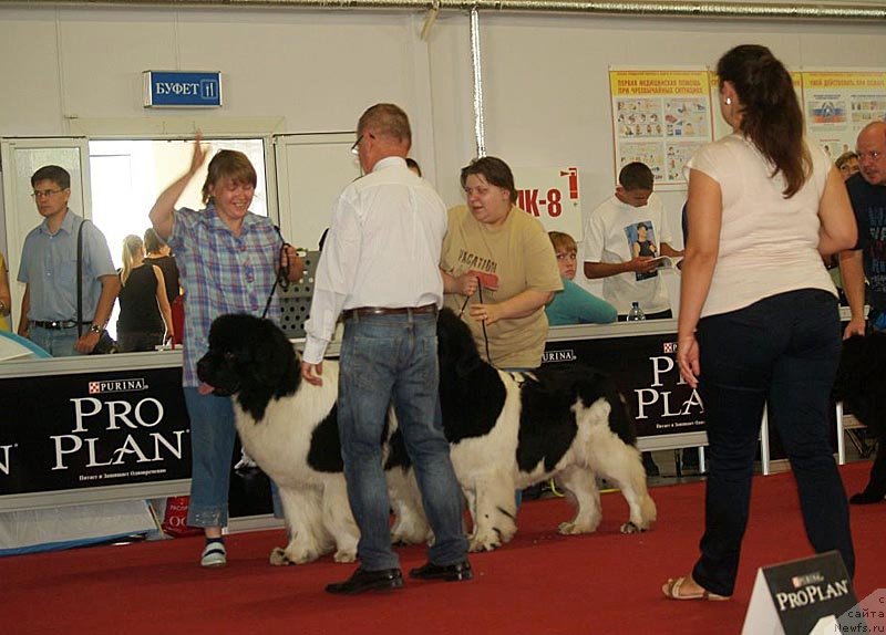 Фотография № 132359