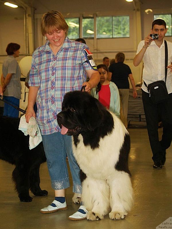 Фотография № 132361