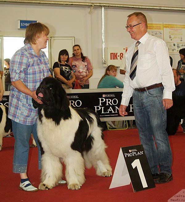 Фотография № 132362