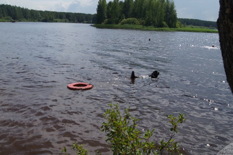 Фотография № 132373