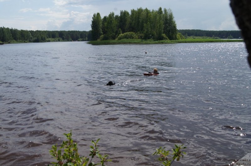 Фотография № 132374