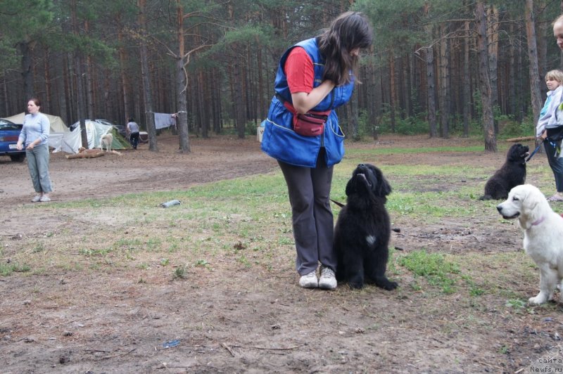 Фотография № 132379