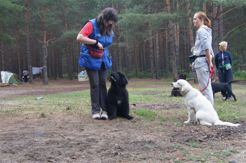 Фотография № 132381