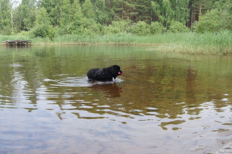 Фотография № 132384