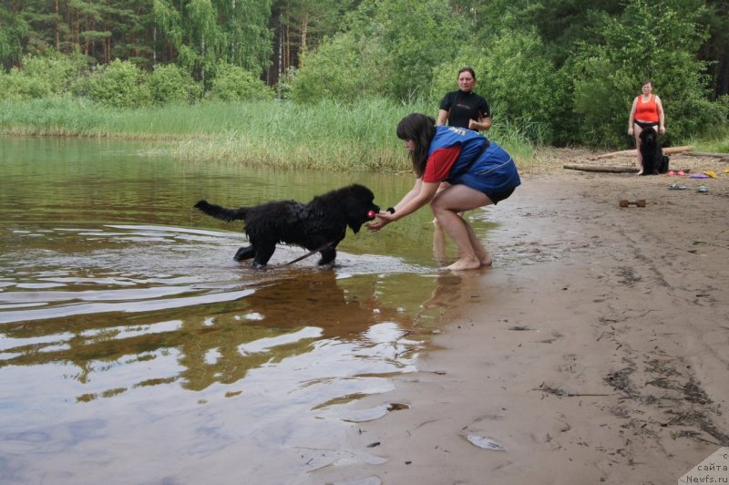 Фотография № 132385