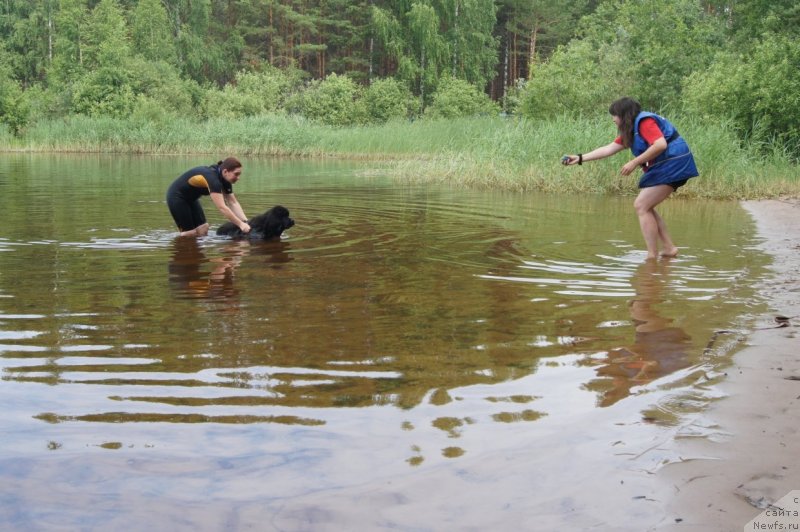 Фотография № 132387